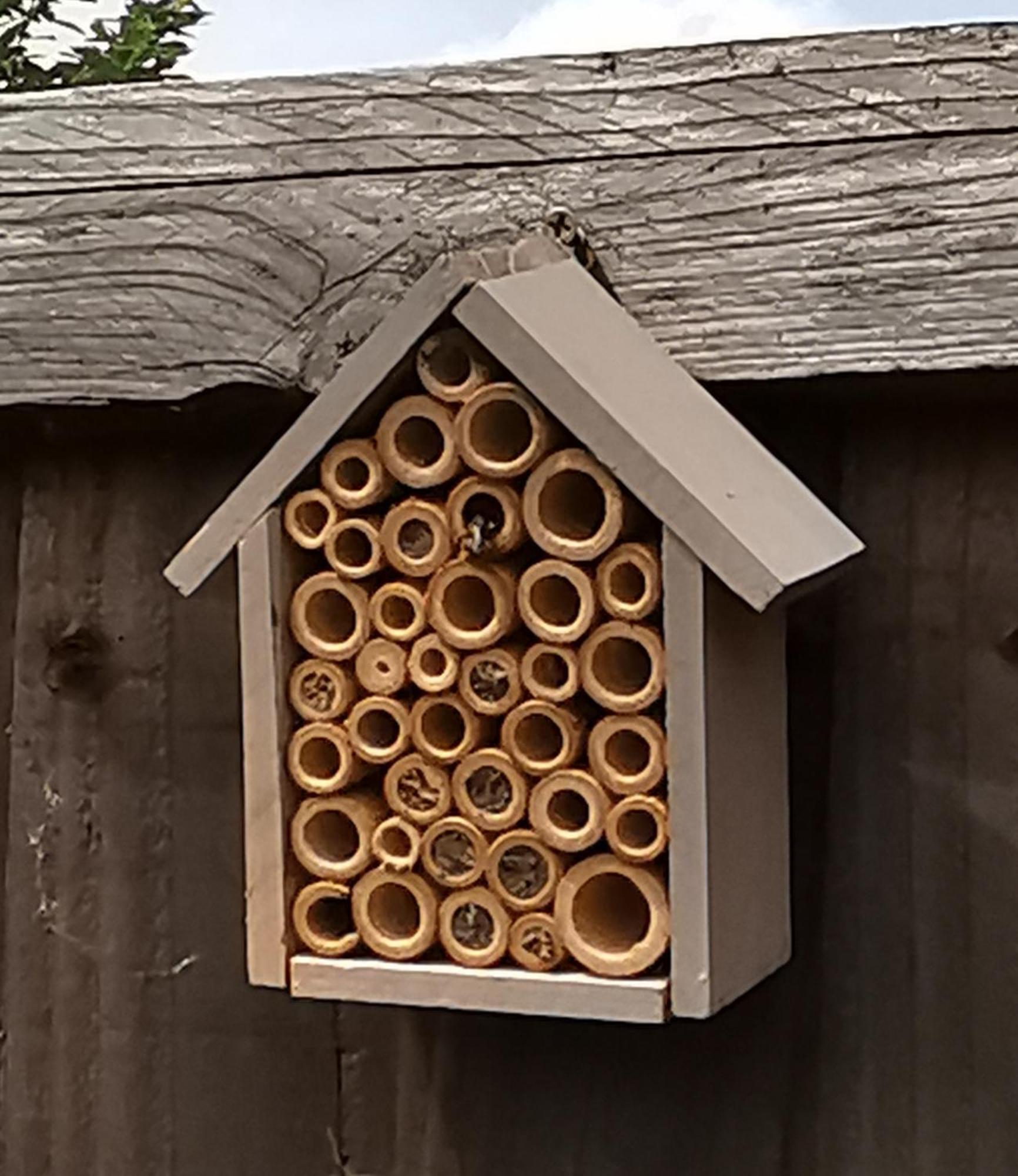 Homestay A Bird House