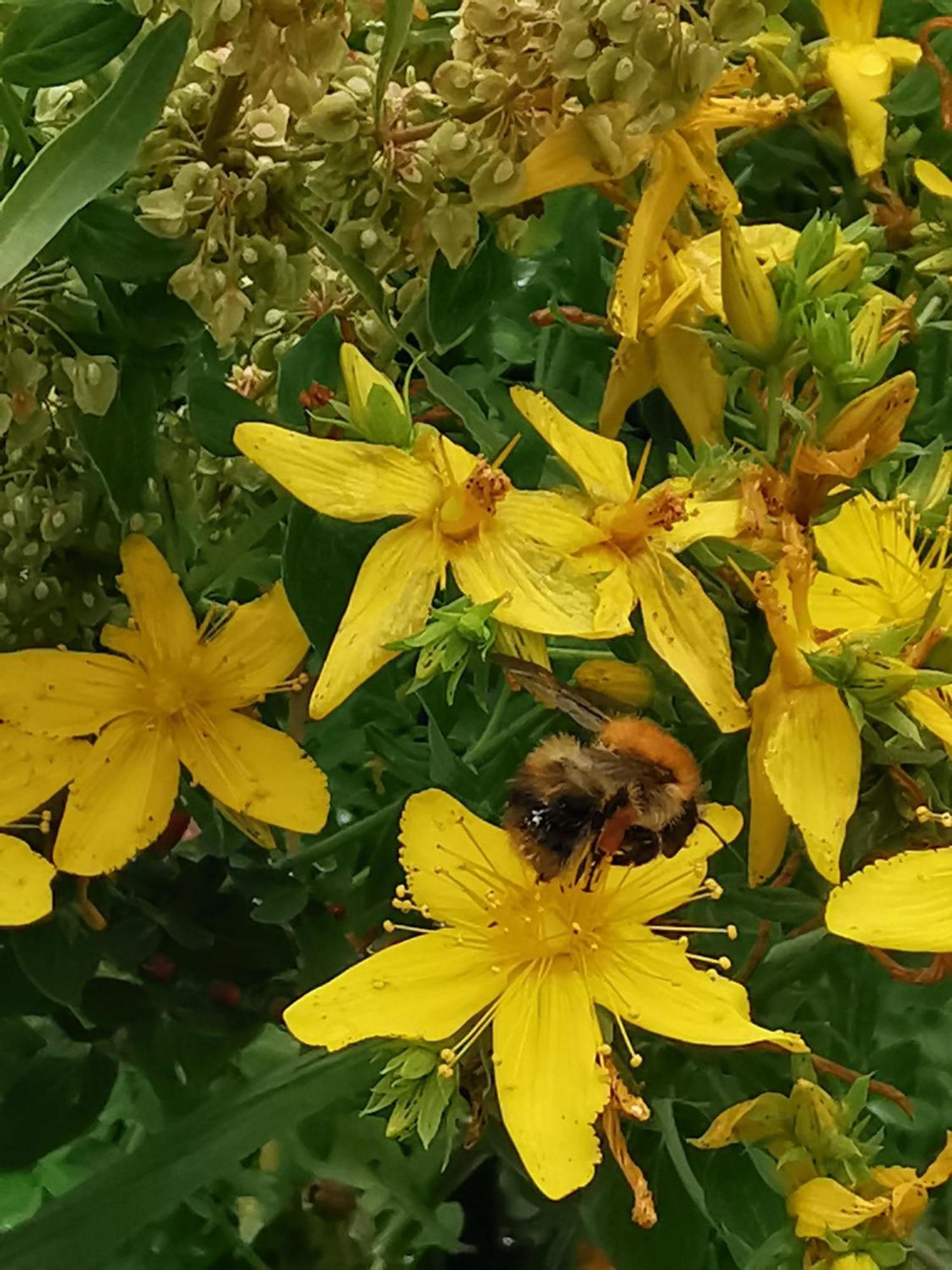 A Bird House Homestay Belper